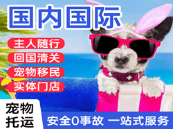 禄口航空邮寄国际宠物托运 【国